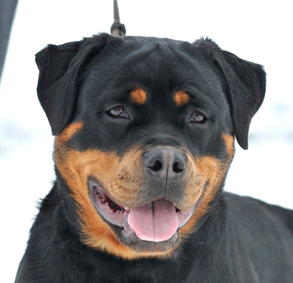 Yaffa von der Alten Festung Yaffa von der Alten Festung